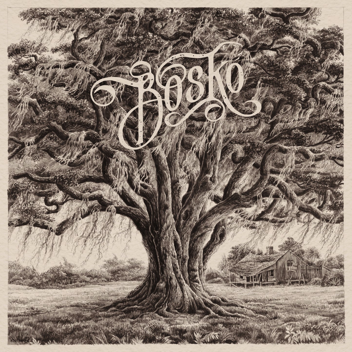 Bosko - Standard Bayou Special digital
