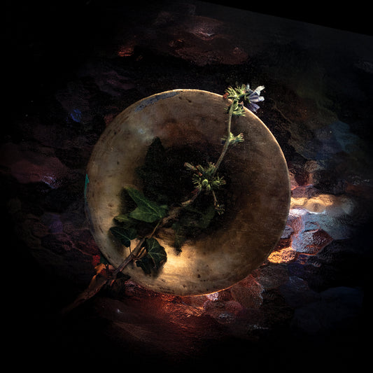 2ème single de Super Panela : Cada Minuto